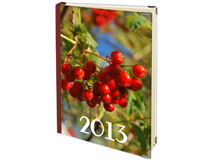 Notizbuch Vogelbeere Nikolausgeschenk